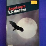 Ángel negro