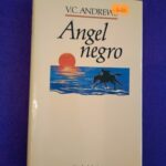 Ángel negro