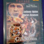 Los cañones de San Sebastián