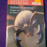 Naturaleza extrema (4): Hormigas asesinas