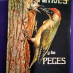 El fabuloso mundo de las aves y los peces