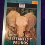 IMAX vol.12: Elefantes y felinos
