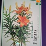 El libro de las plantas: Ideas y cuidado de las plantas de interior