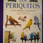 Los periquitos: Cómo cuidarlos correctamente