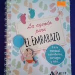 La agenda para el embarazo: Lista mensual, calendario, consejos y más