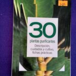 30 Plantas purificantes: Descripción, cuidados y cultivo, fichas prácticas