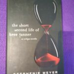 The short second life of Bree Tanner