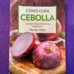 Cómo cura la cebolla: La mejor aliada del sistema respiratorio