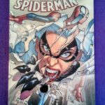 El asombroso Spiderman vol.96