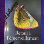 Retourà l'émerveillement