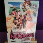Negima: Magister Negi Mag! vol.12