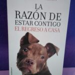La razón de estar contigo: El regreso a casa