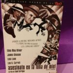 Asesinato en la luna de miel