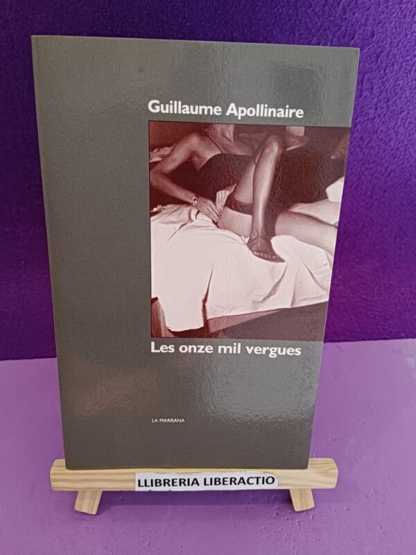 Libros y sol, una combinación perfecta