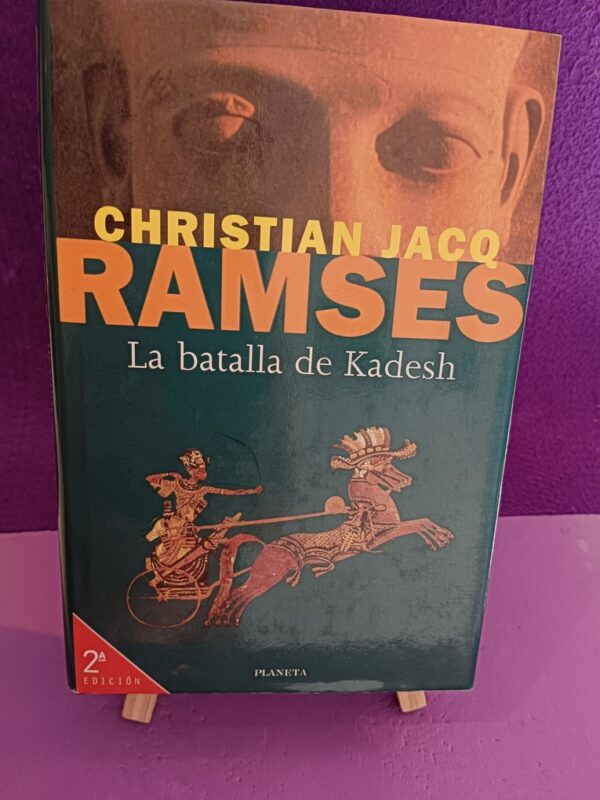 Libros y sol, una combinación perfecta