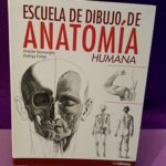 Escuela de dibujo de anatomía humana