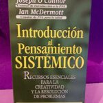 Introducción al pensamiento sistémico: Recursos esenciales para la creatividad y la resolución de problemas