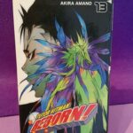 Tutor Hitman Reborn 13