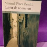 Carrer de només un (català)